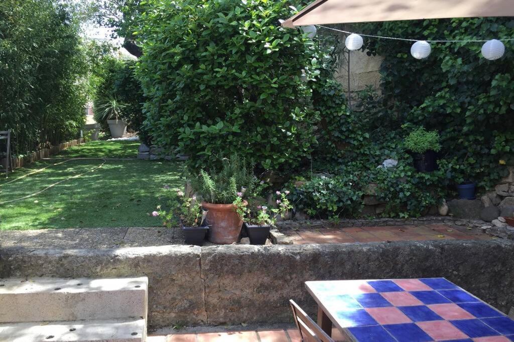 La Cassirene - Maisonnette Centre Cassis - Jardin 외부 사진